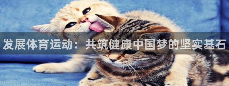 德国千亿国际官方正版app集团：发展体育运动：共筑健