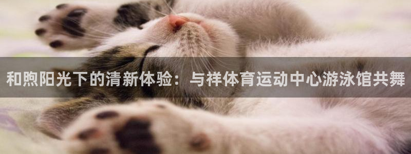 千亿国际官方正版app神州：和煦阳光下的清新体验：与祥体育运