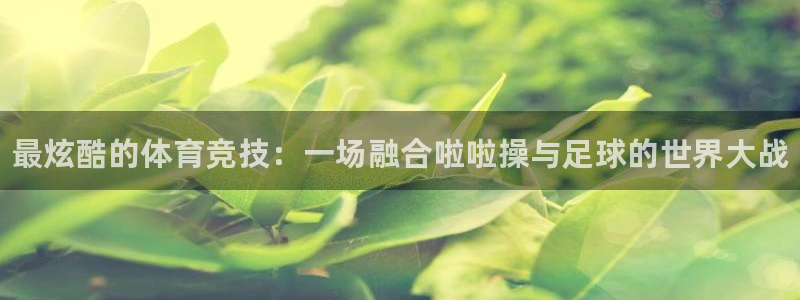 千亿国际官网下载平台注册流程图：最炫酷的体育竞技：一