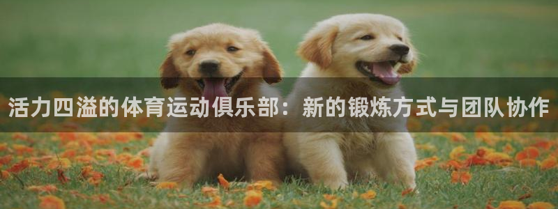 千亿国际官方正版app娱乐是那个系列的台子：活力四溢的体育运