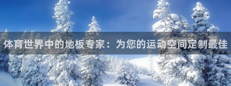 千亿国际官方正版app集团E.ON：体育世界中的地板专家：为